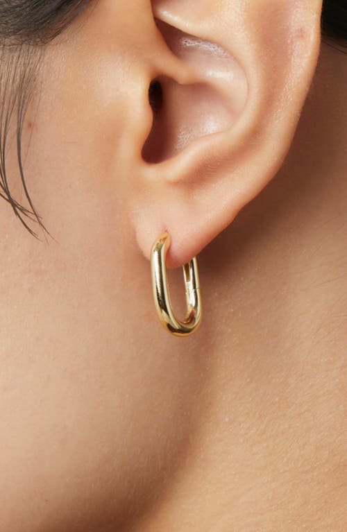 Ana Luisa Small Rox Oval Hoop Earrings