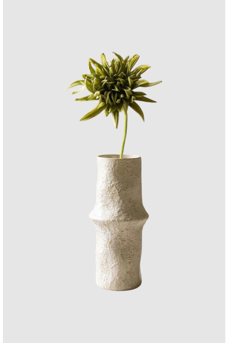 Green Cactus Dahlia Flower, Main, color, Green