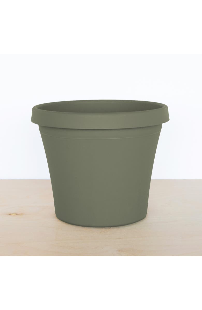 Bloem 12 Inch Terra Pot Planter, Living Green, Alternate, color, Green