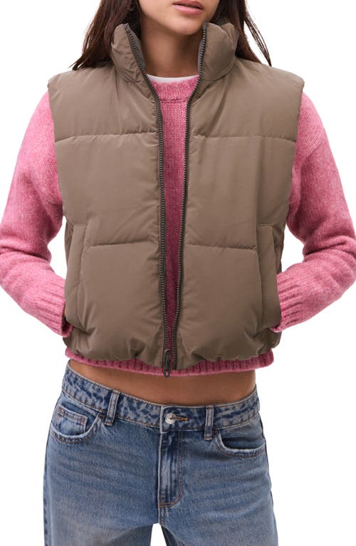 Mango Teen Quilted Crop Puffer Vest In Brown