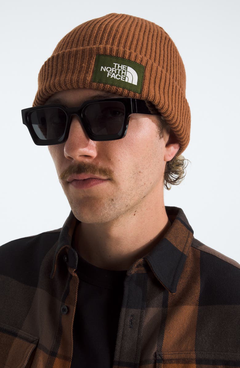 The North Face Salty Dog Beanie, Alternate, color, Burnt Umber