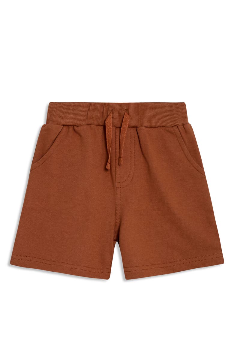 JOJO MAMAN BEBE Dinosaur Print Cotton T-Shirt & Shorts Set, Alternate, color, Natural