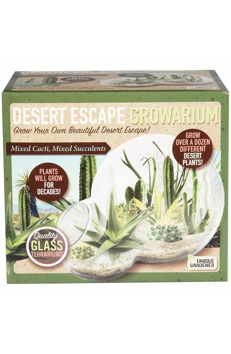 Unique Gardener Desert Escape Growarium Diy Cactus & Succulent Terrarium Kit, Main, color, 