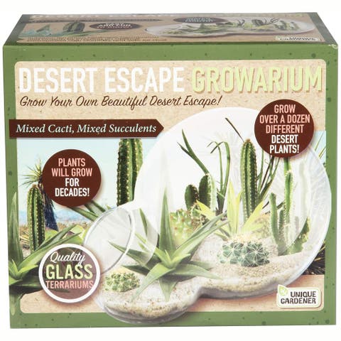 Desert Escape Growarium Diy Cactus & Succulent Terrarium Kit