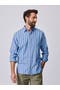  Blue Variegated Stripe
