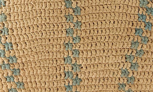 Helen Kaminski Aquarius Raffia Hobo Bag