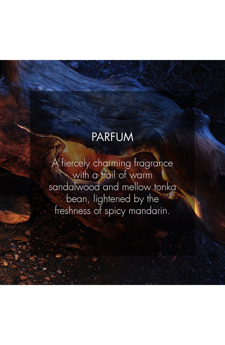 DIOR Sauvage Parfum, Alternate, color, Regular