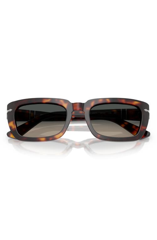 Persol Sunglasses In Havana