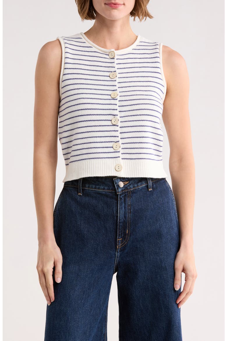 Stripe Button Front Sweater Vest, Main, color, BLUE
