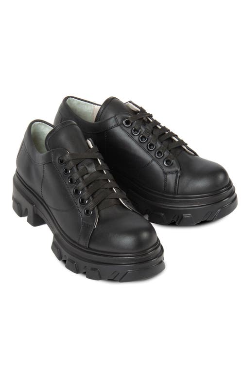 Urbnkicks The Collegiate Leather Sneaker In Black
