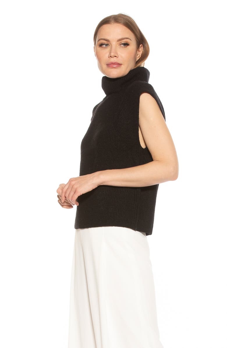 Alexia Admor Jaylani Sleeveless Turtleneck Sweater, Alternate, color, Black