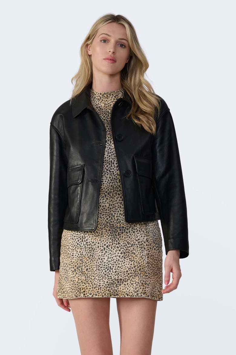 Ella Leather Jacket, Alternate, color, Black