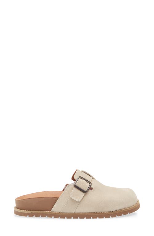 Chocolat Blu Yuko Clog In Brown