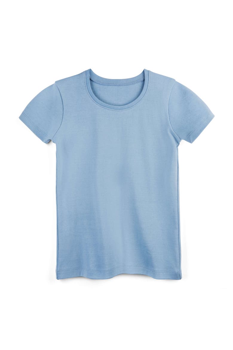 Organic Cotton Short Sleeve Ribbed Scoop Neck Tee, Main, color, Chambray
