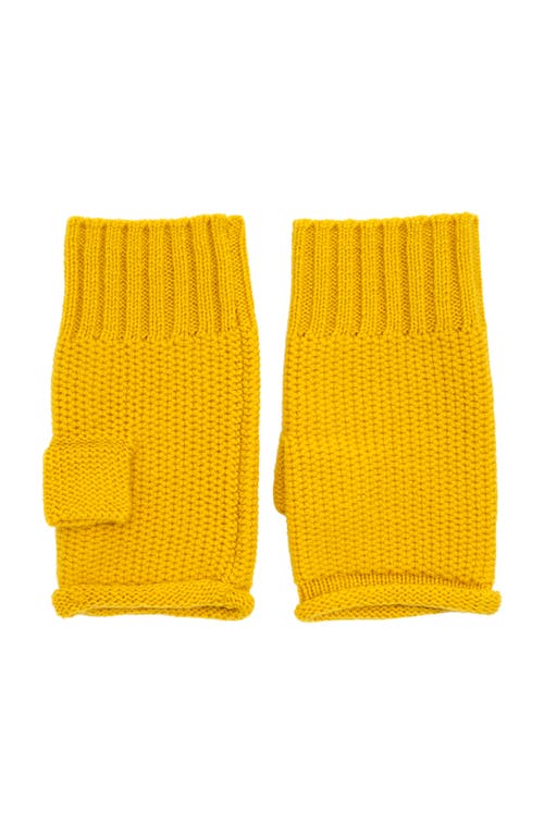 Echo The Crosby Handwarmer In Yellow