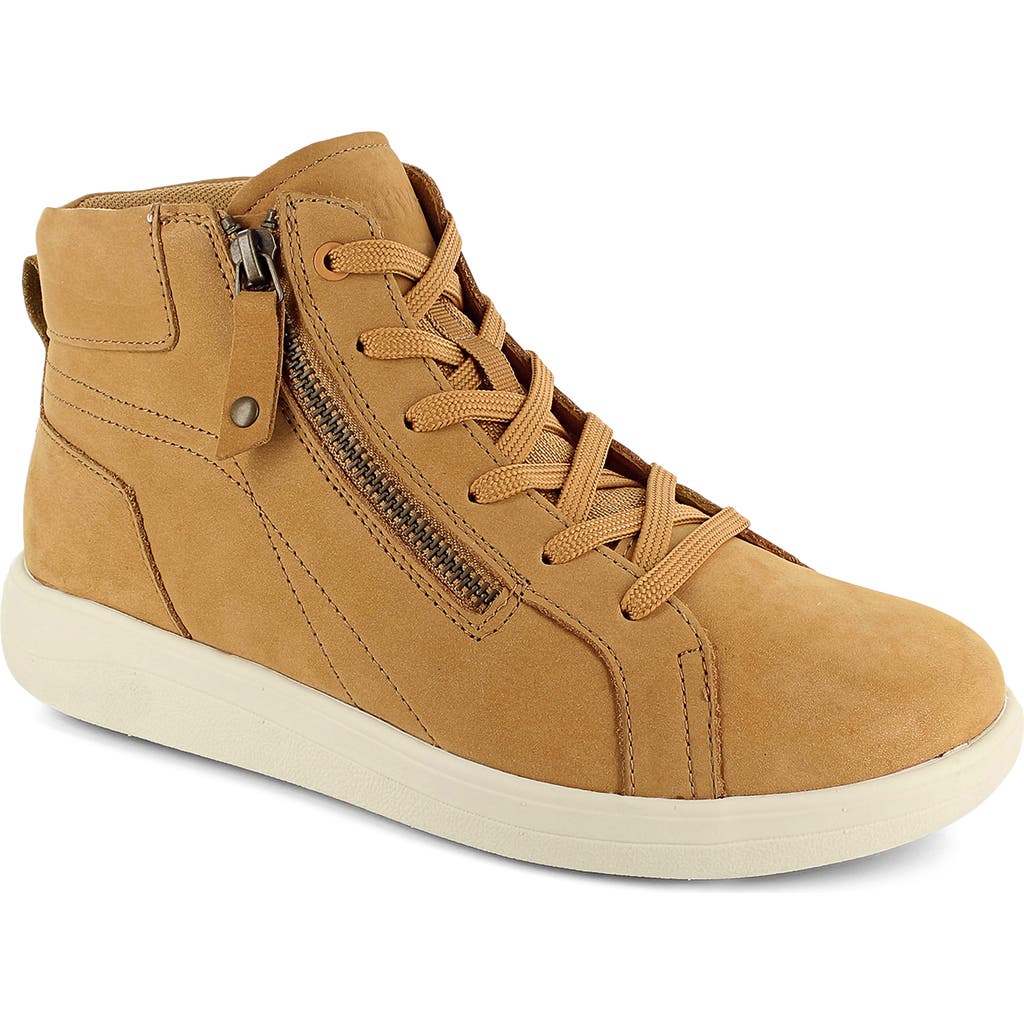 Strive Kensington High Top Sneaker In Brown