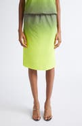 Alexander Wang Gradient Reflective Skirt