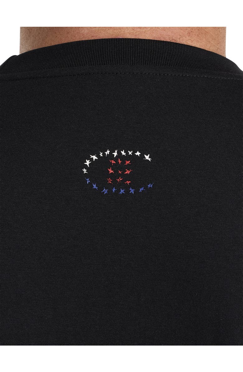 Champion Big & Tall USA Flag Graphic Tee, Alternate, color,