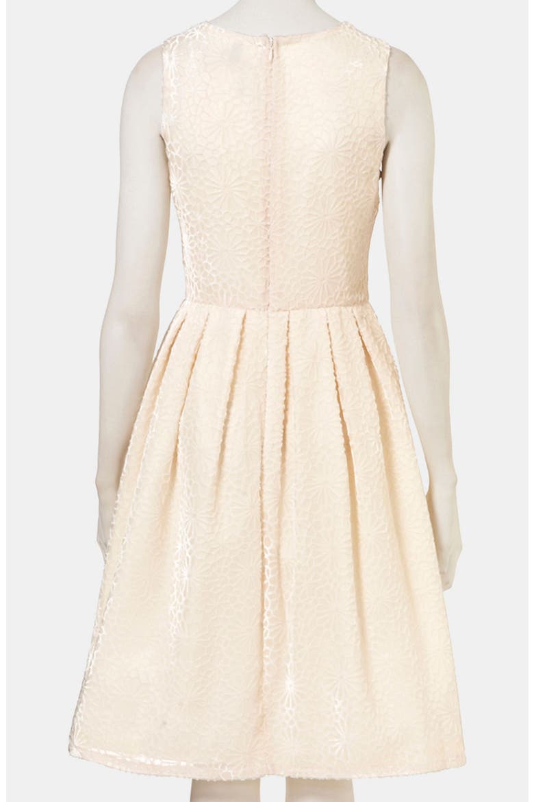 'Devore' Burnout Silk Dress, Main, color, NUDE
