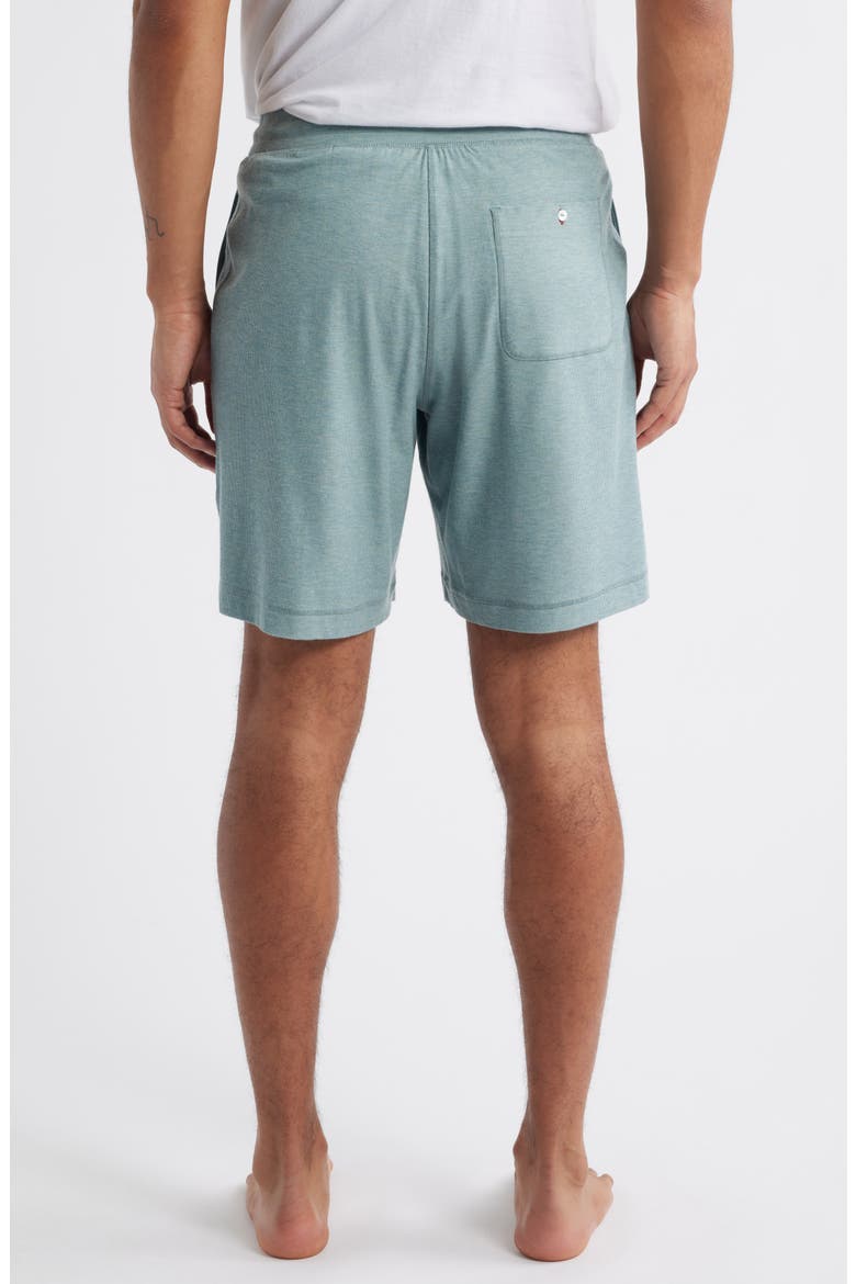 Ribbed Rayon Blend Drawstring Pajama Shorts, Alternate, color, PISTACHIO