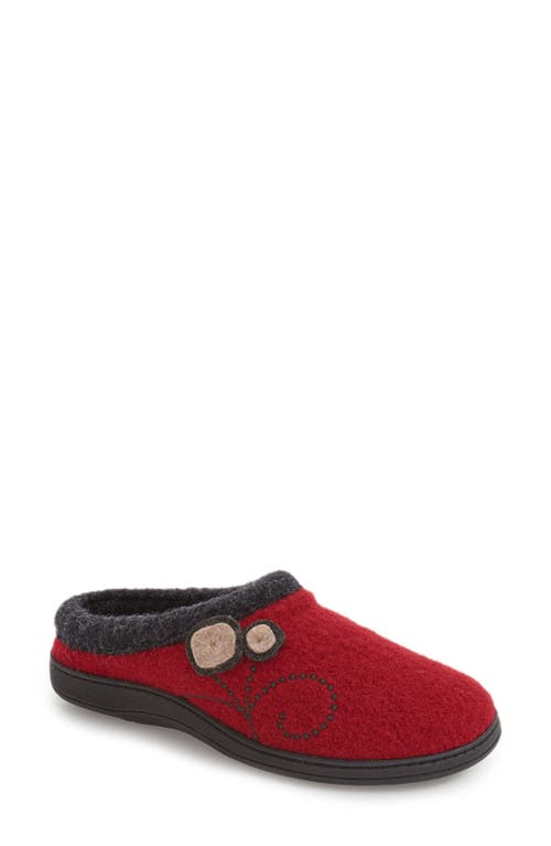 Acorn Dara Wool Blend Slipper in Currant Button Wool 