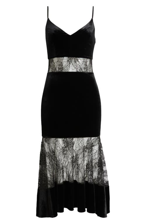 Bebe Velvet & Lace Cocktail Midi Dress In Black