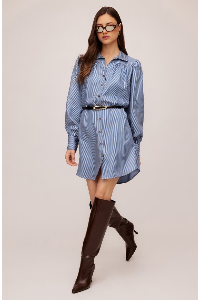 Natalia Stripe Long Sleeve Shirtdress, Alternate, color, BLUE STRIPE