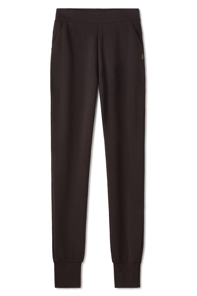 Dreamglow Tapered Pants, Alternate, color, DARK ESPRESSO
