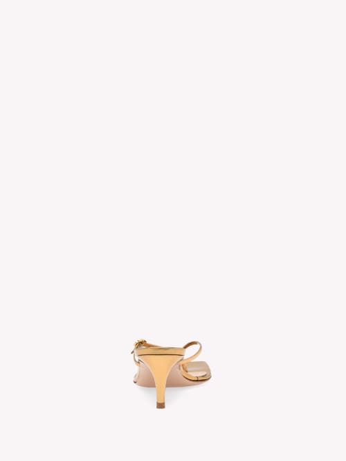 Shop Gianvito Rossi Ribbon Thong 55 Sandals In Metallic Gold