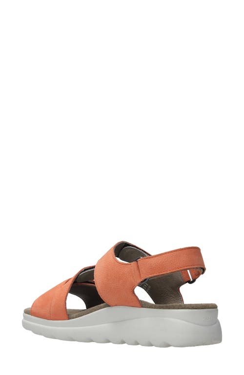 Wolky Ikaria Ankle Strap Platform Wedge Sandal In Light Orange Nubuck