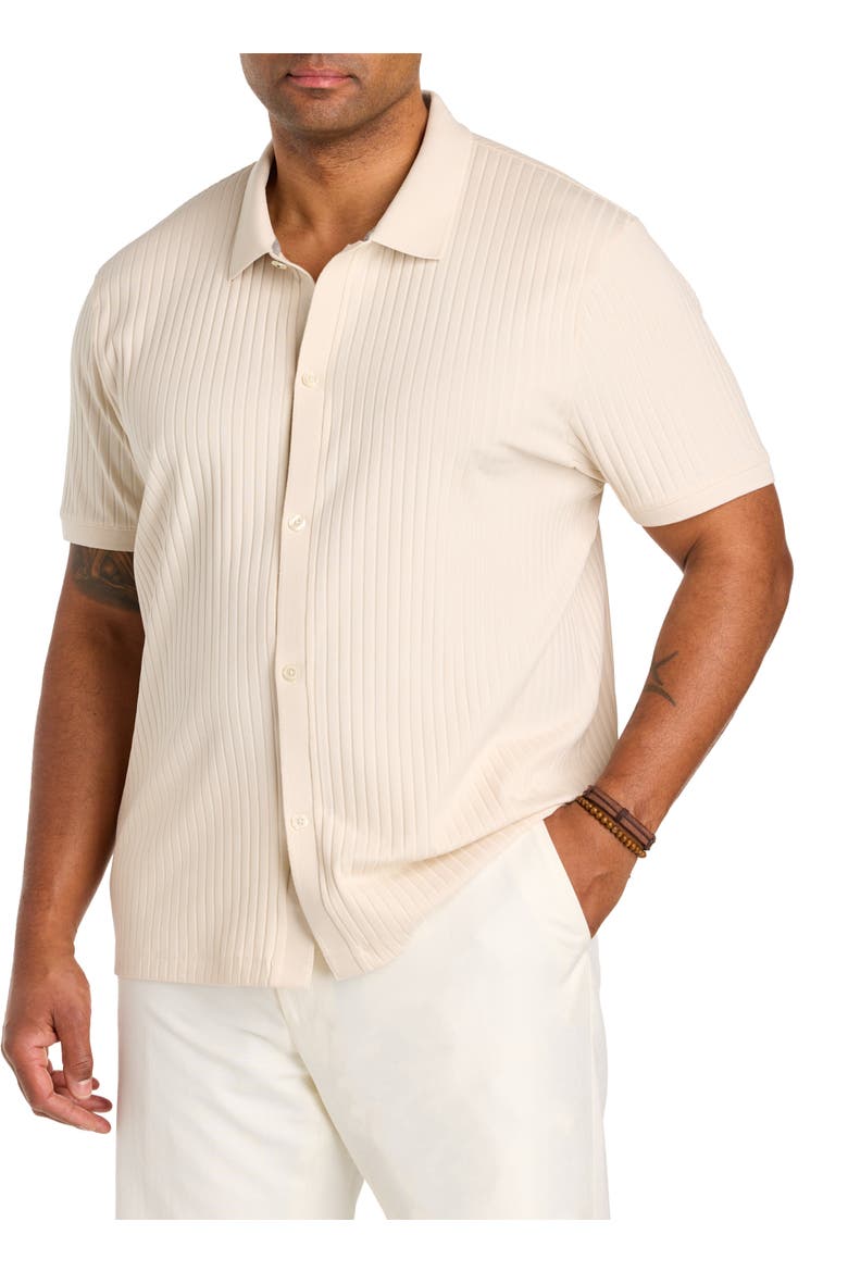 Big & Tall Ribbed Jacquard Button-Front Polo Shirt, Main, color, BIRCH