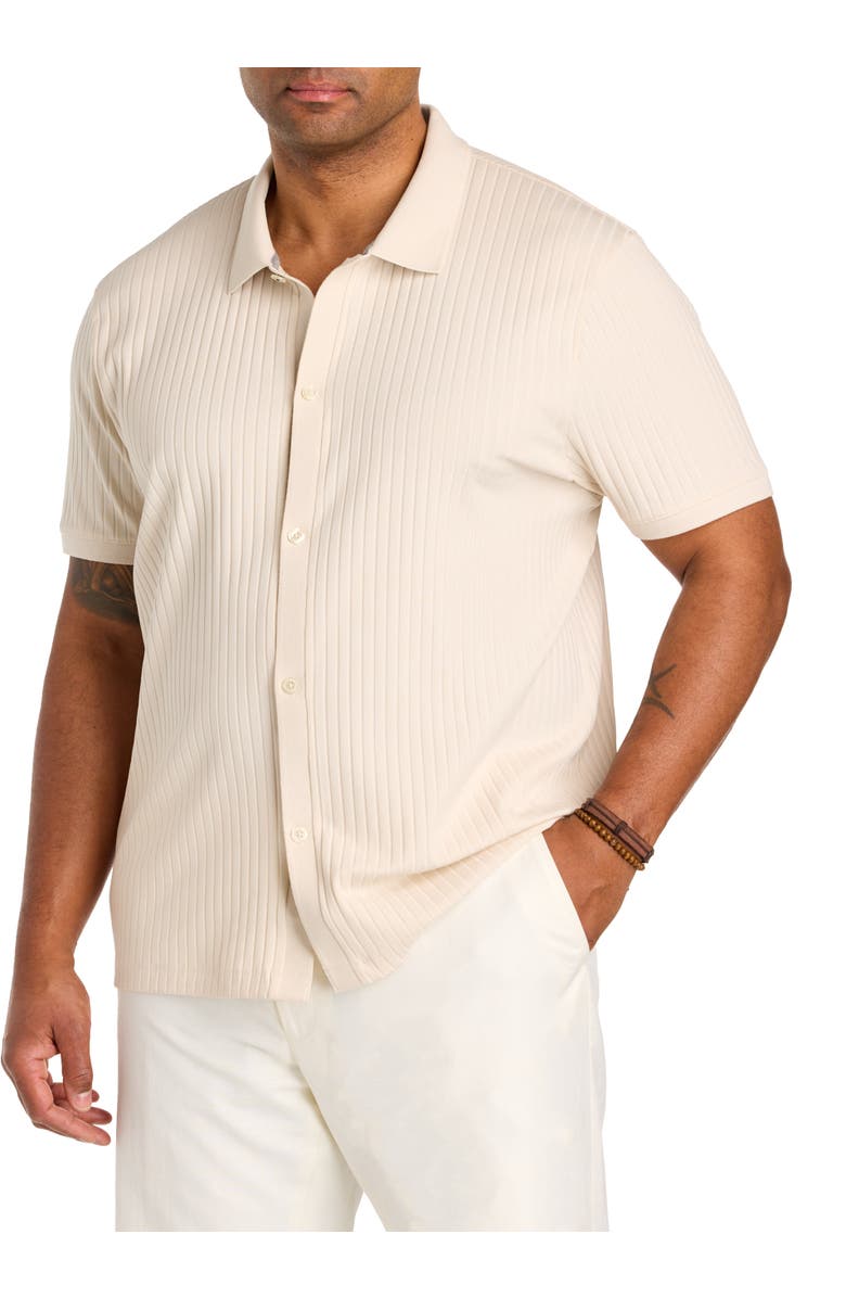 Perry Ellis Big & Tall Ribbed Jacquard Button-Front Polo Shirt, Main, color, Birch