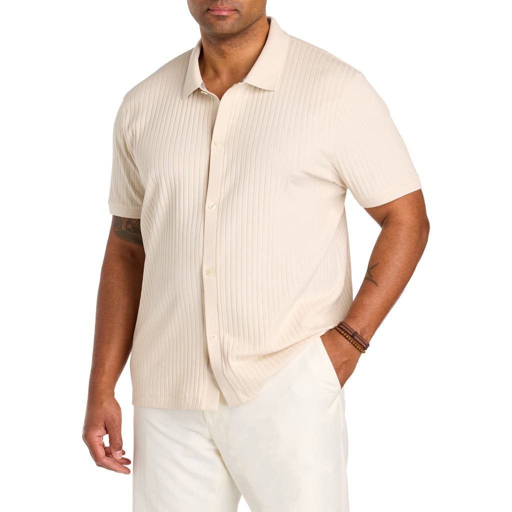 Perry Ellis Big & Tall Ribbed Jacquard Button-Front Polo Shirt in Birch at Nordstrom, Size Xxx-Large