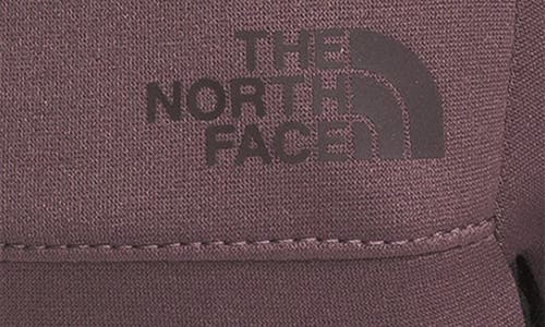 The North Face E-tip Gloves In Burgundy
