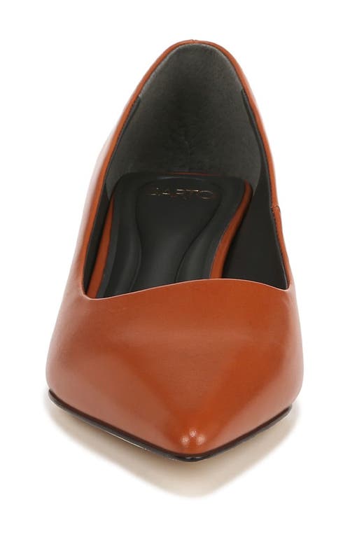 Sarto By Franco Sarto Diva Kitten Heel Pointed Toe Pump In Brown