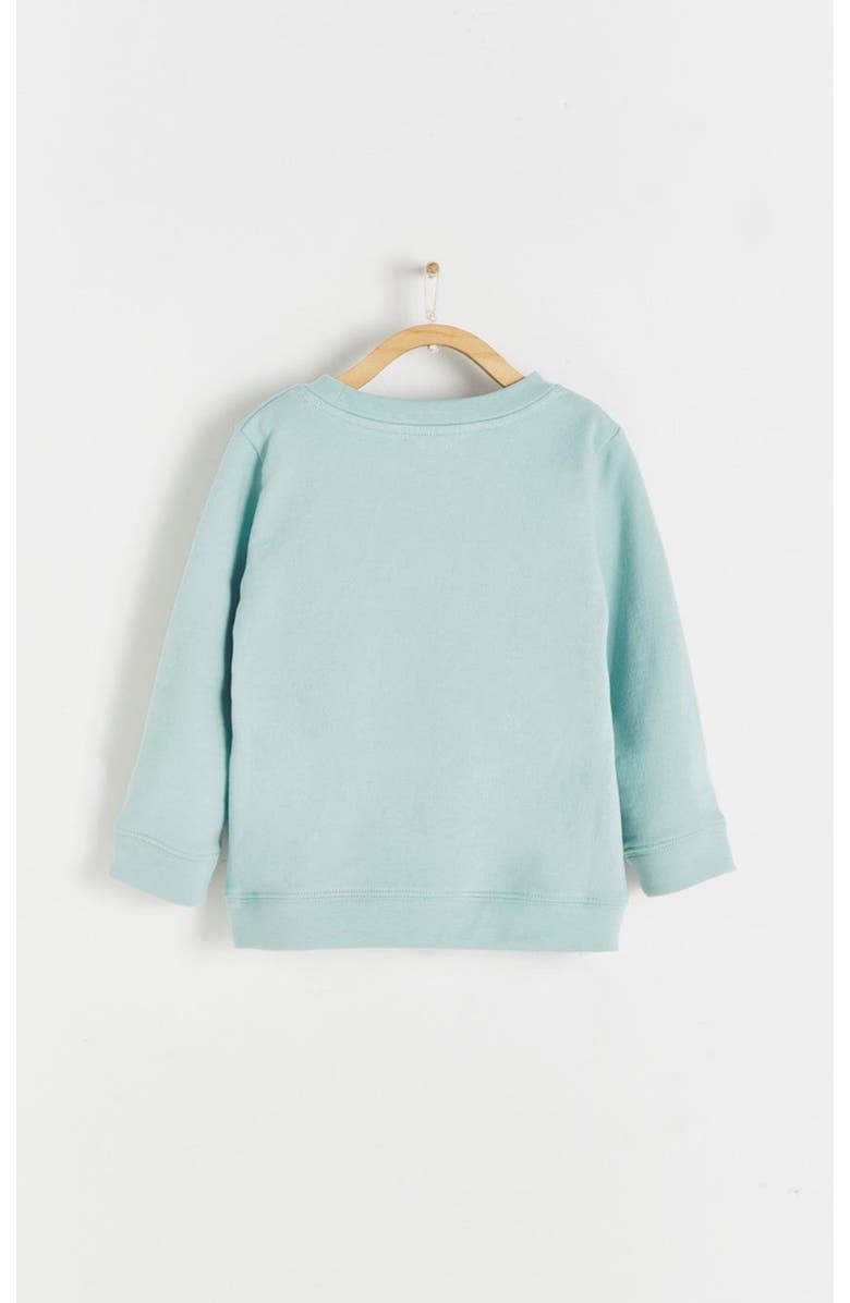 Babycottons Sunset Printed Sweatshirt for Toddler, Alternate, color, Green