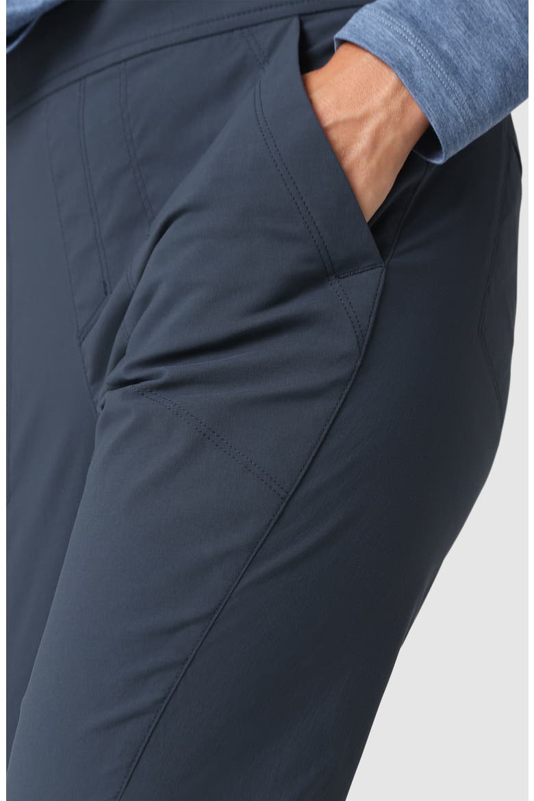 Timberline Ankle Pants, Alternate, color, ATLANTIC