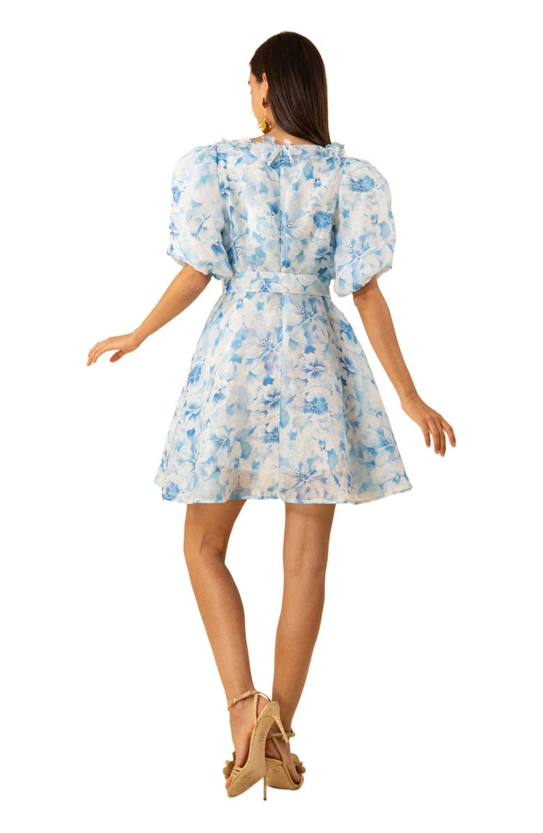 Hale Bob Promise Floral Organza Dress, Alternate, color,