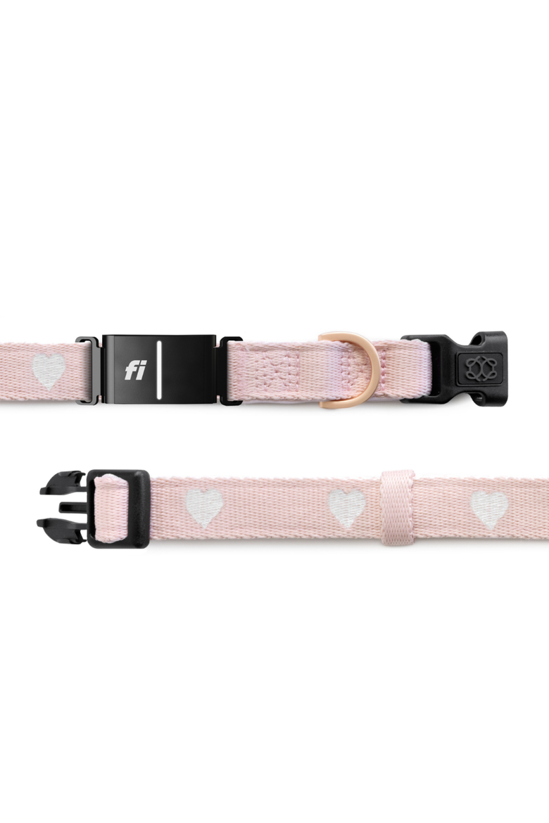 Sweetheart 3+ Collar Band, Alternate, color, Sweetheart