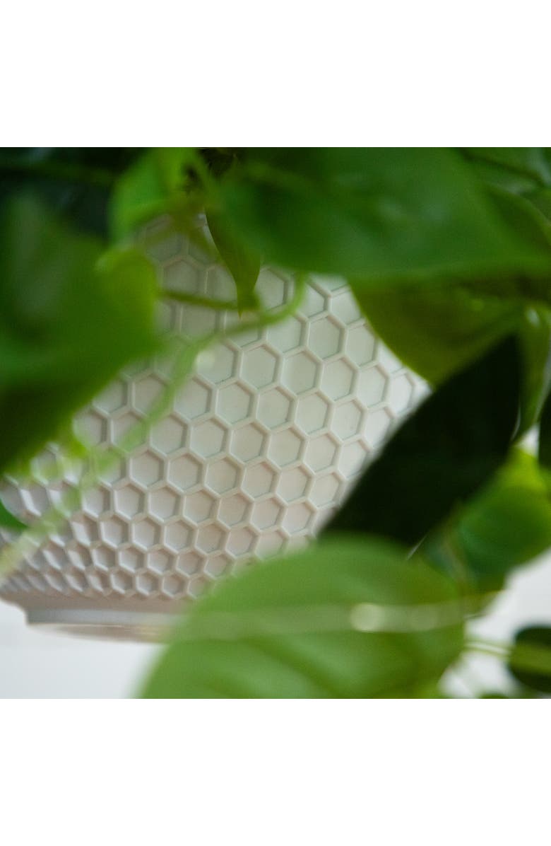 NEARLY NATURAL 24-in UV Resistant Artificial Philodendron with 50 Warm White LED Lights in White Hanging Basket, Alternate, color, Green