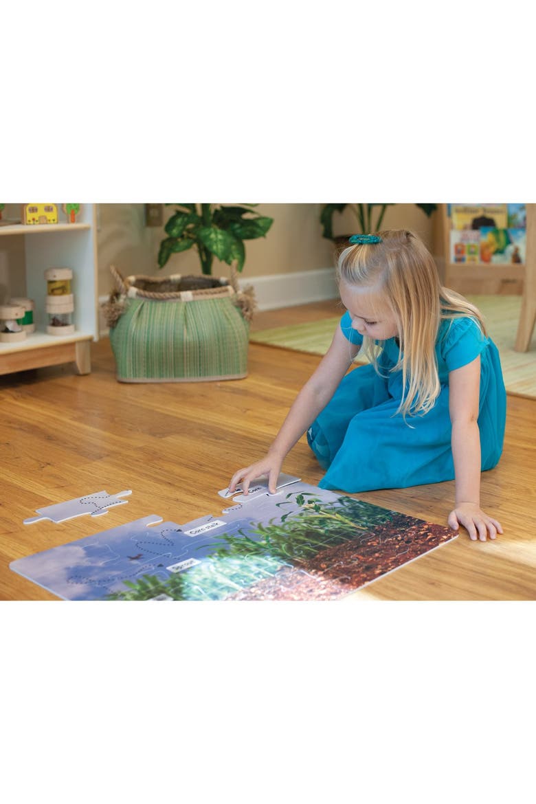 Corn Life Cycle Floor Puzzle - 24 Pieces, Alternate, color, Multicolored