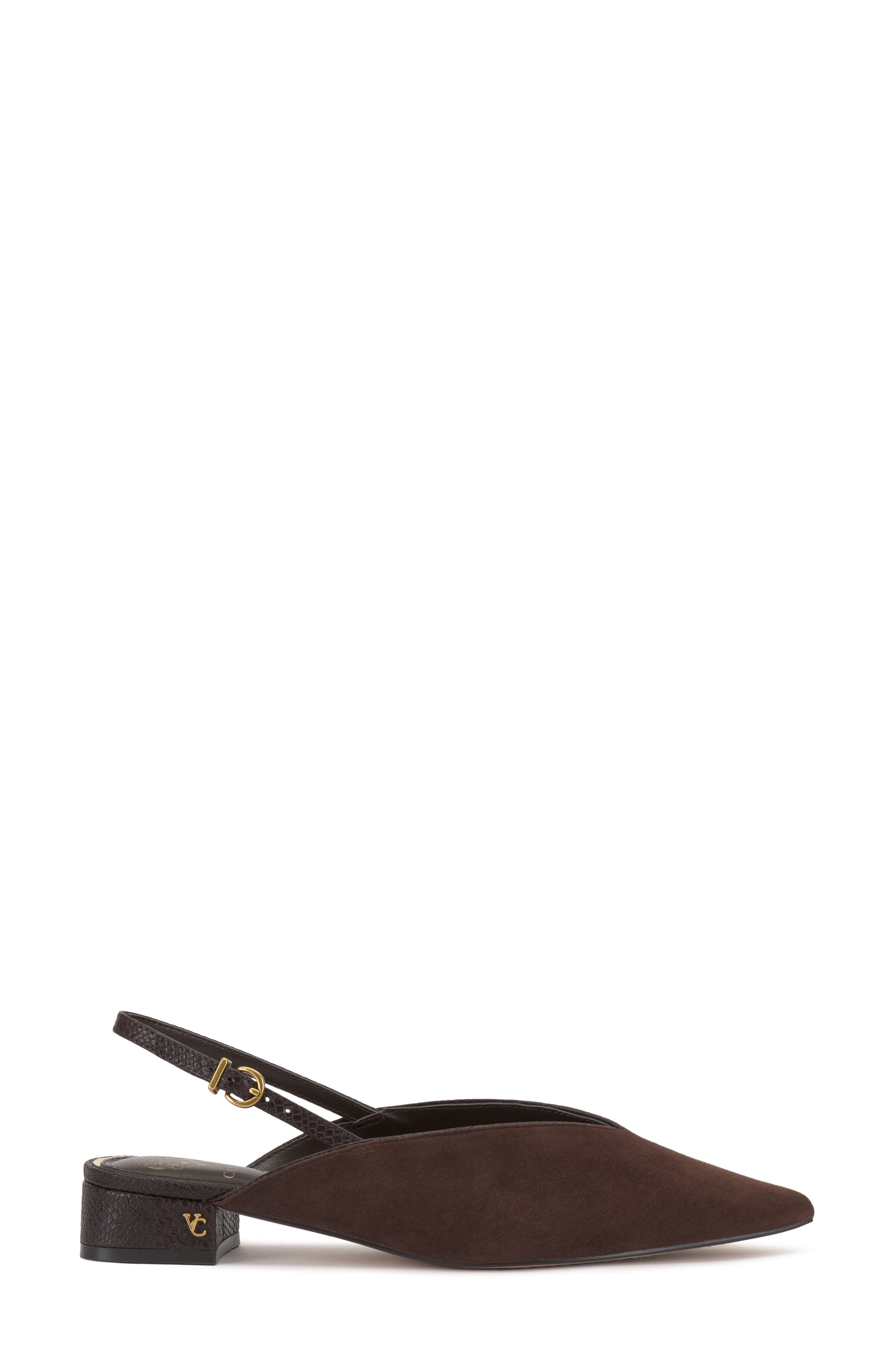 Venba Pointed Toe Slingback Flat, Alternate, color, BROWNIE / BROWN MULTI