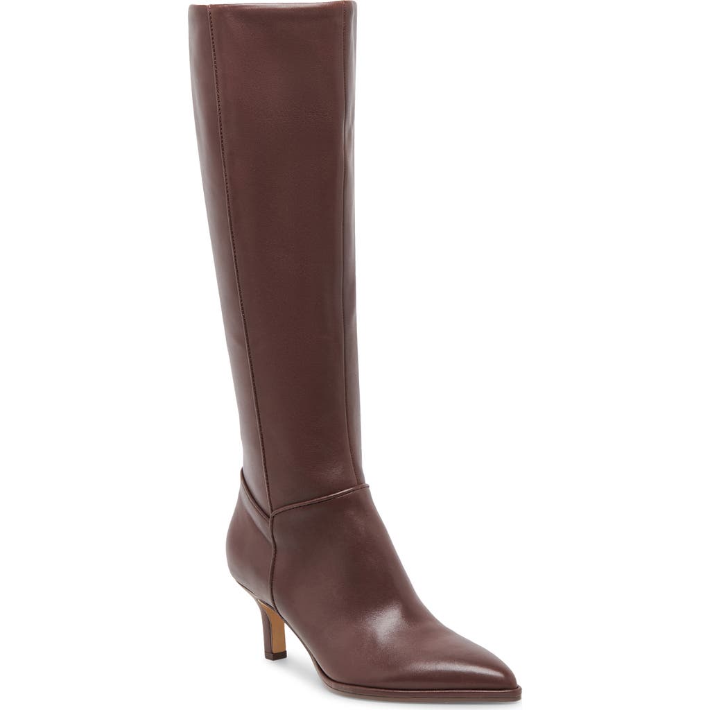 Dolce Vita Aldy Pointed Toe Knee High Boot In Brown