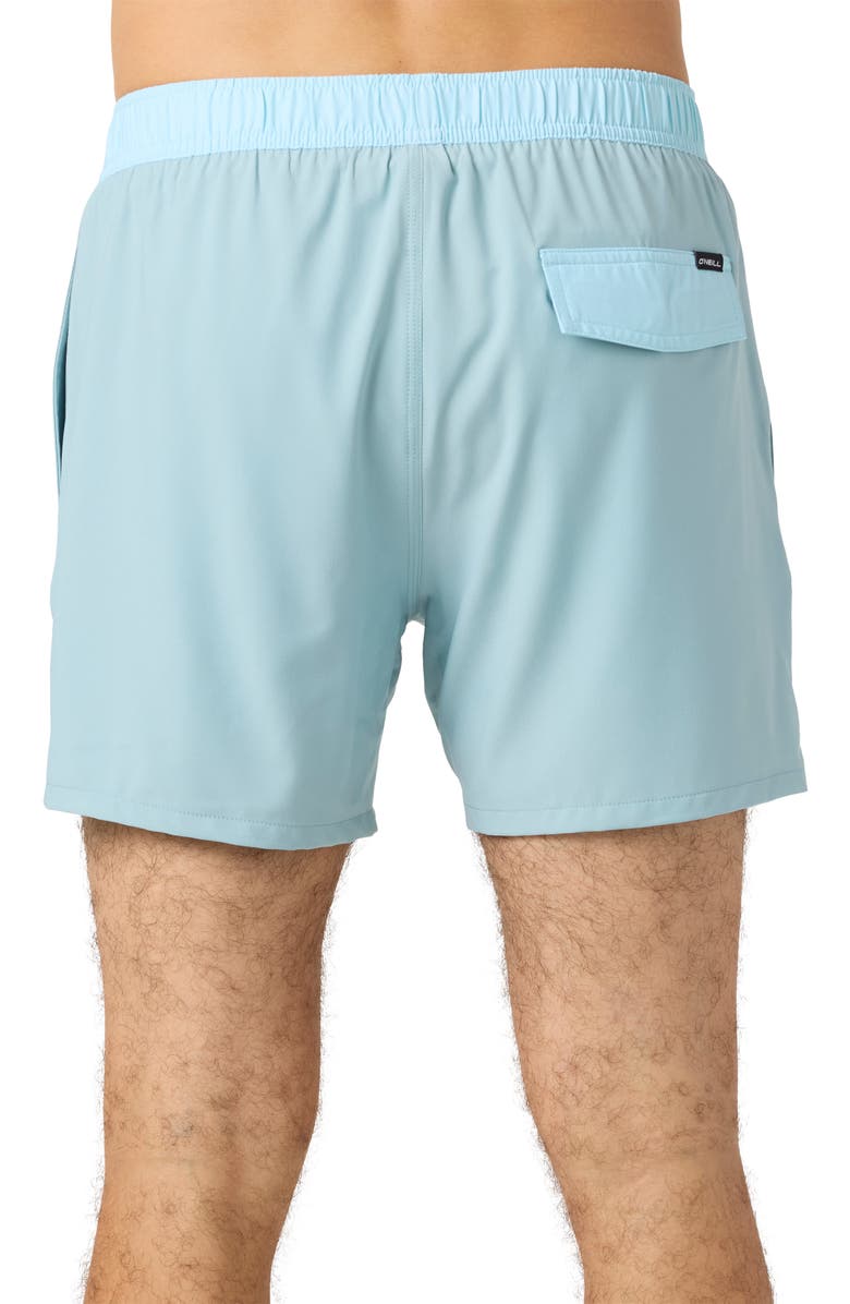 O'Neill Hermosa Volley Swim Trunks, Alternate, color, Tourmaline