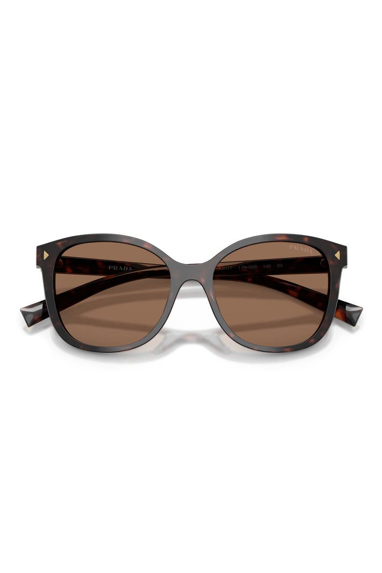 53mm Square Sunglasses, Alternate, color, TARTARUGA RADICA / DARK BROWN
