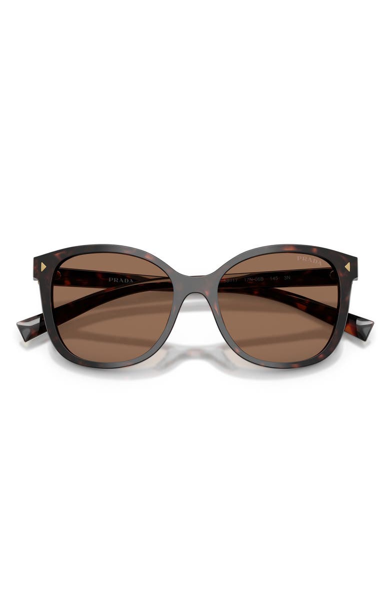 Prada 53mm Square Sunglasses, Alternate, color, Tartaruga Radica / Dark Brown