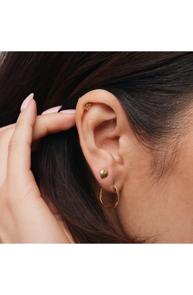 Whit Jewelry 14K Yellow Gold Strawberry Stud, Alternate, color, 