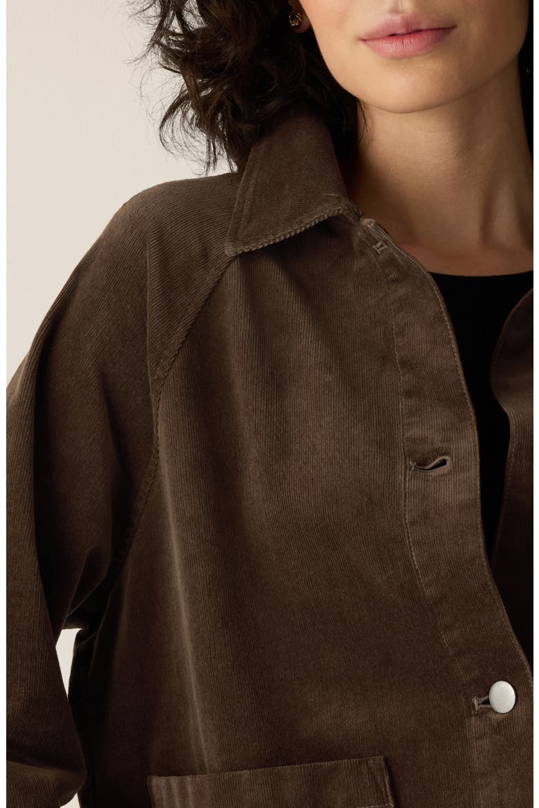 Classic Collar Corduroy Jacket, Alternate, color, HAZELWOOD