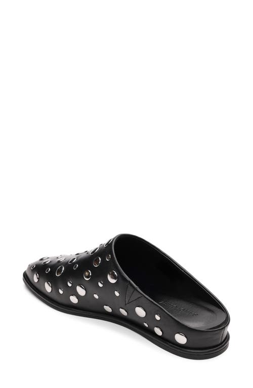 Sanctuary Bari Stud Mule In Multi