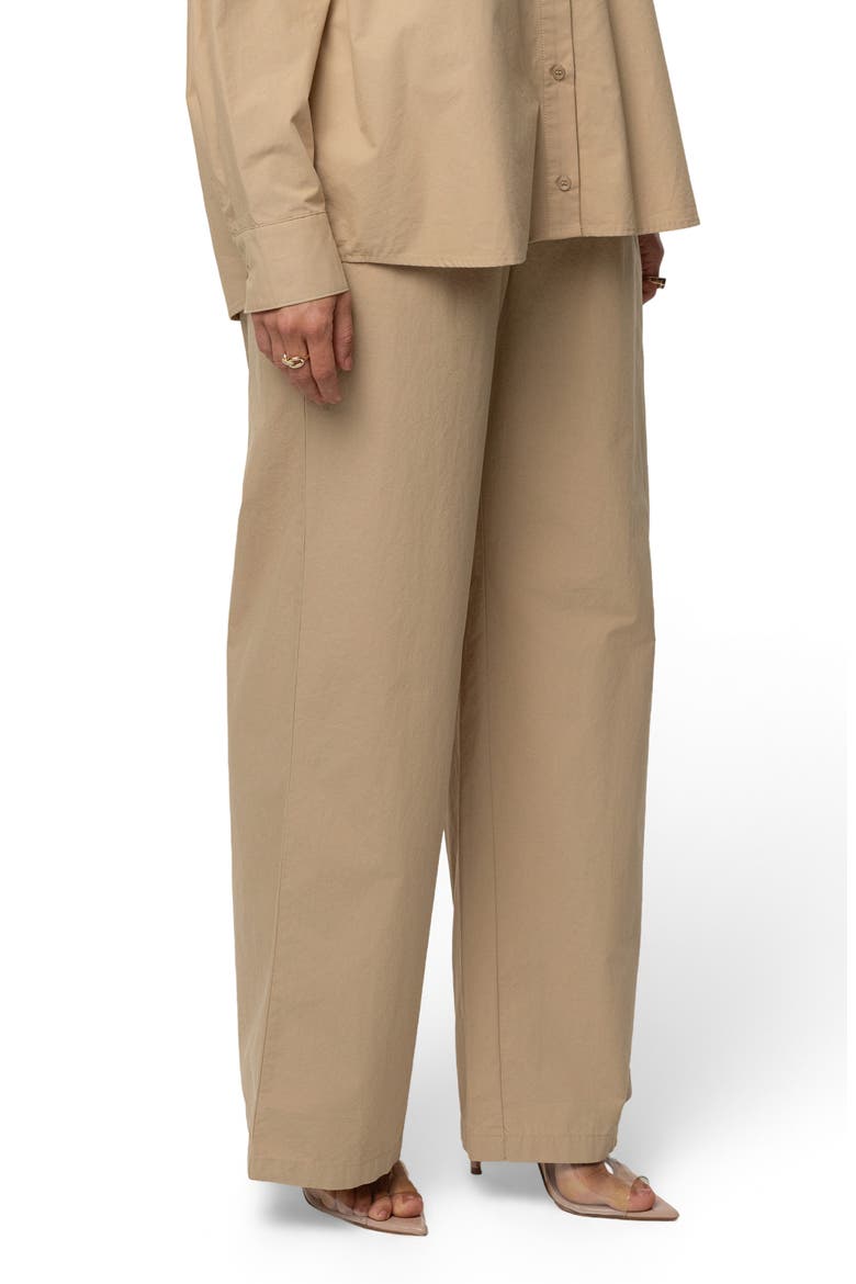 Leon Pleated Wide Leg Pants, Alternate, color, BEIGE